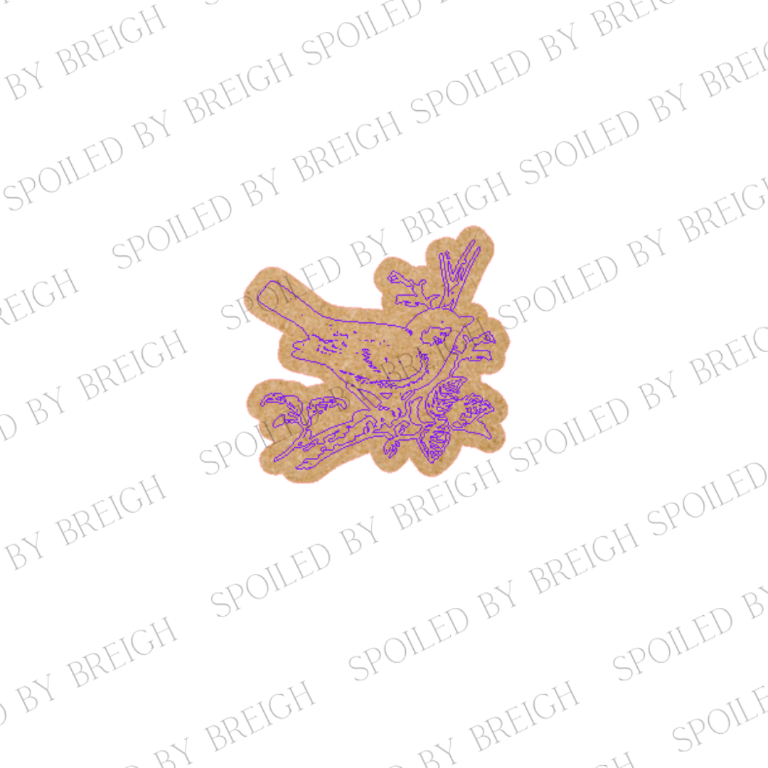 Bird Minis-B