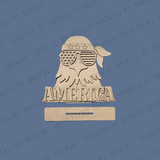 Bald Eagle America